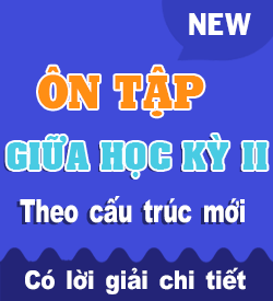 Ôn tập Giữa kỳ II (KNTT_T11)